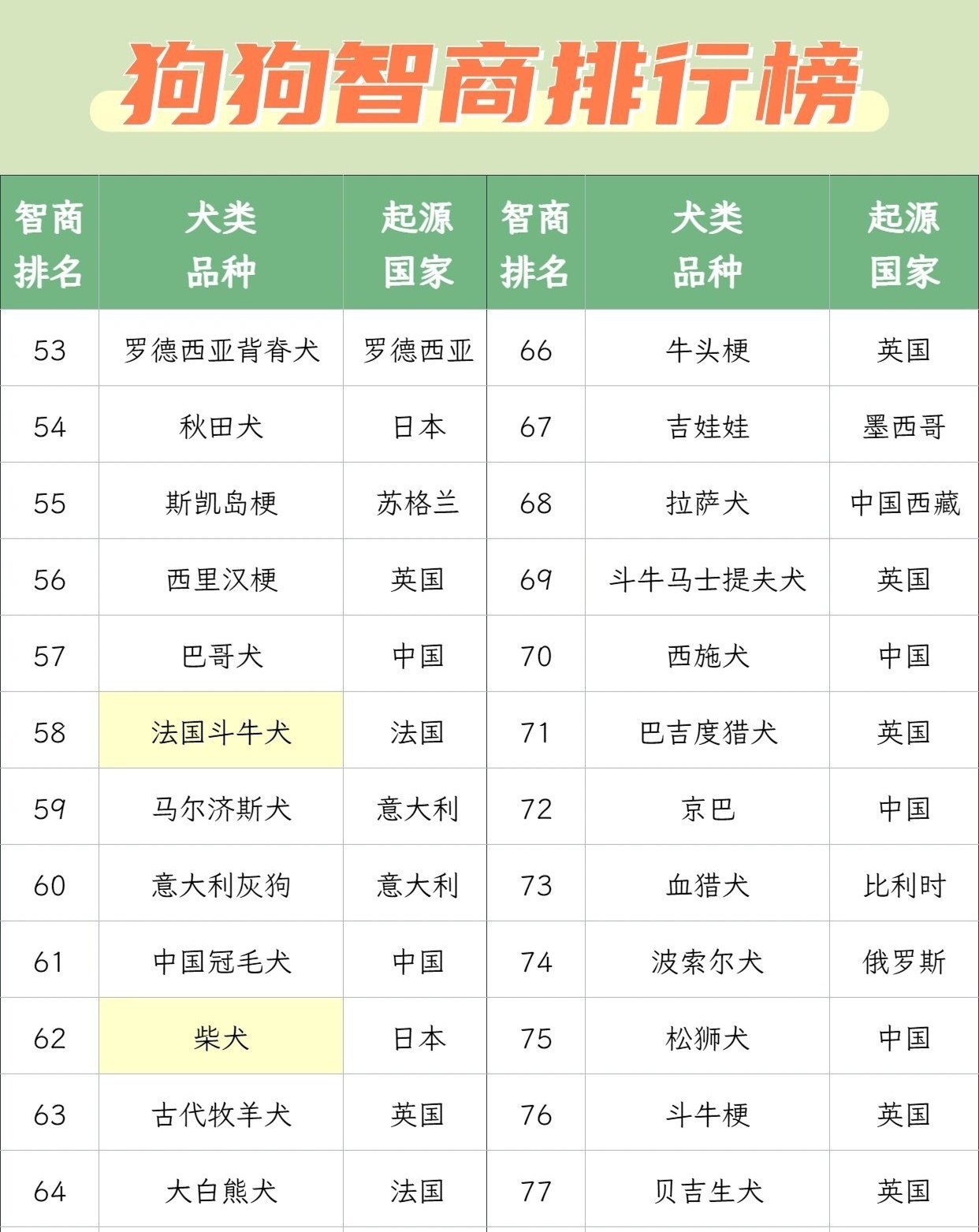 探寻犬类智力的起源与演变，早期狗狗智商排行榜揭秘